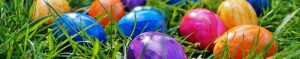 webdesign frühling